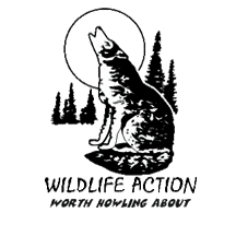 National Wolf Logo